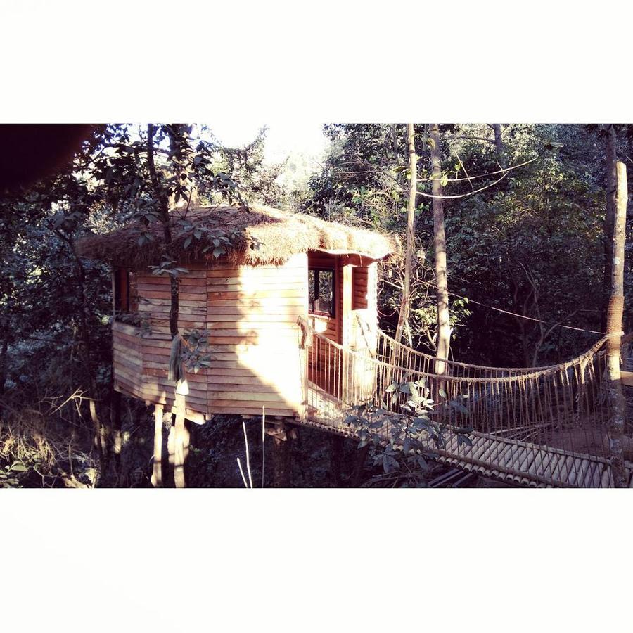 Bunjungle Adventures Hotel กาฐมาณฑุ ภายนอก รูปภาพ